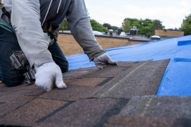 Residential Roof Replacement in Newport, TN
