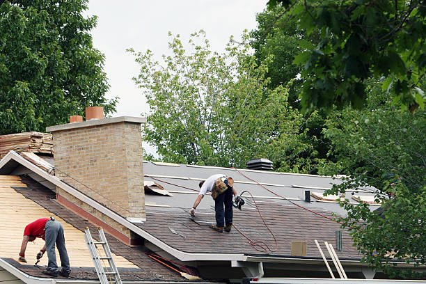 Best Roof Gutter Cleaning  in Newport, TN