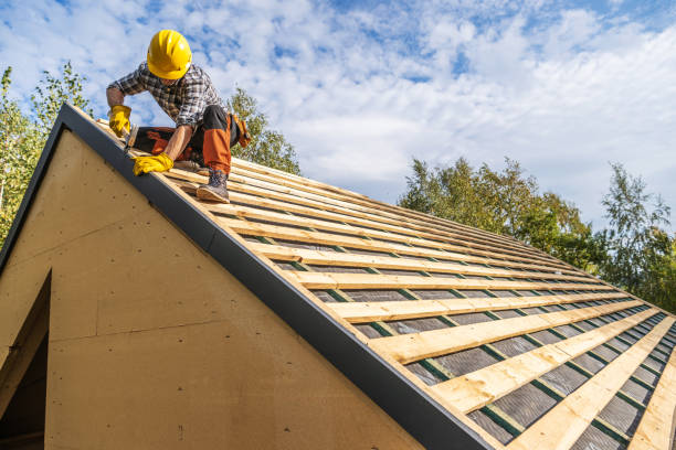 Best Gutter Installation and Roofing  in Newport, TN