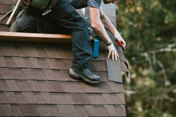 Best Storm Damage Roof Repair  in Newport, TN